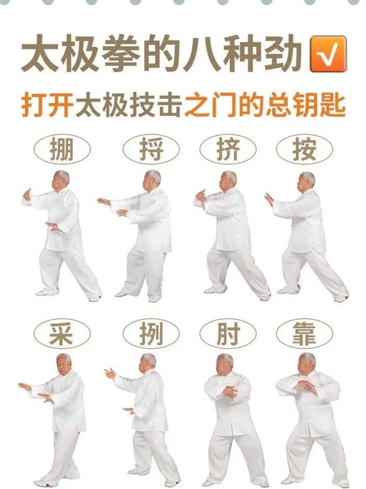 tai chi 13 form